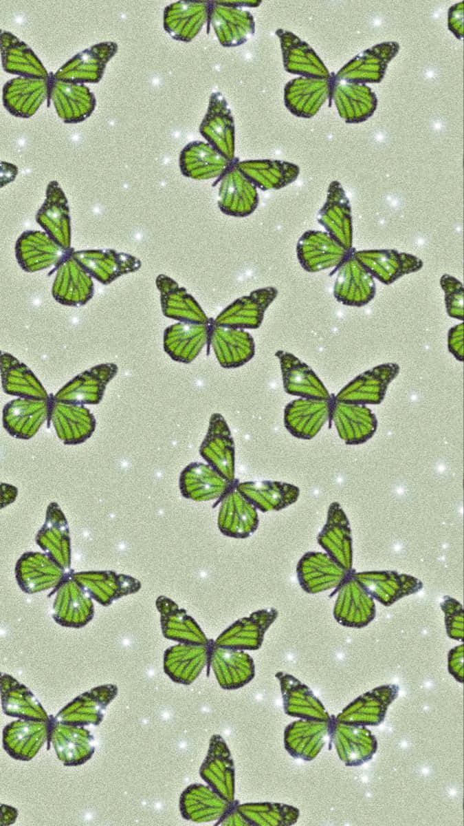 Download Green Butterfly Monarchs Wallpaper 