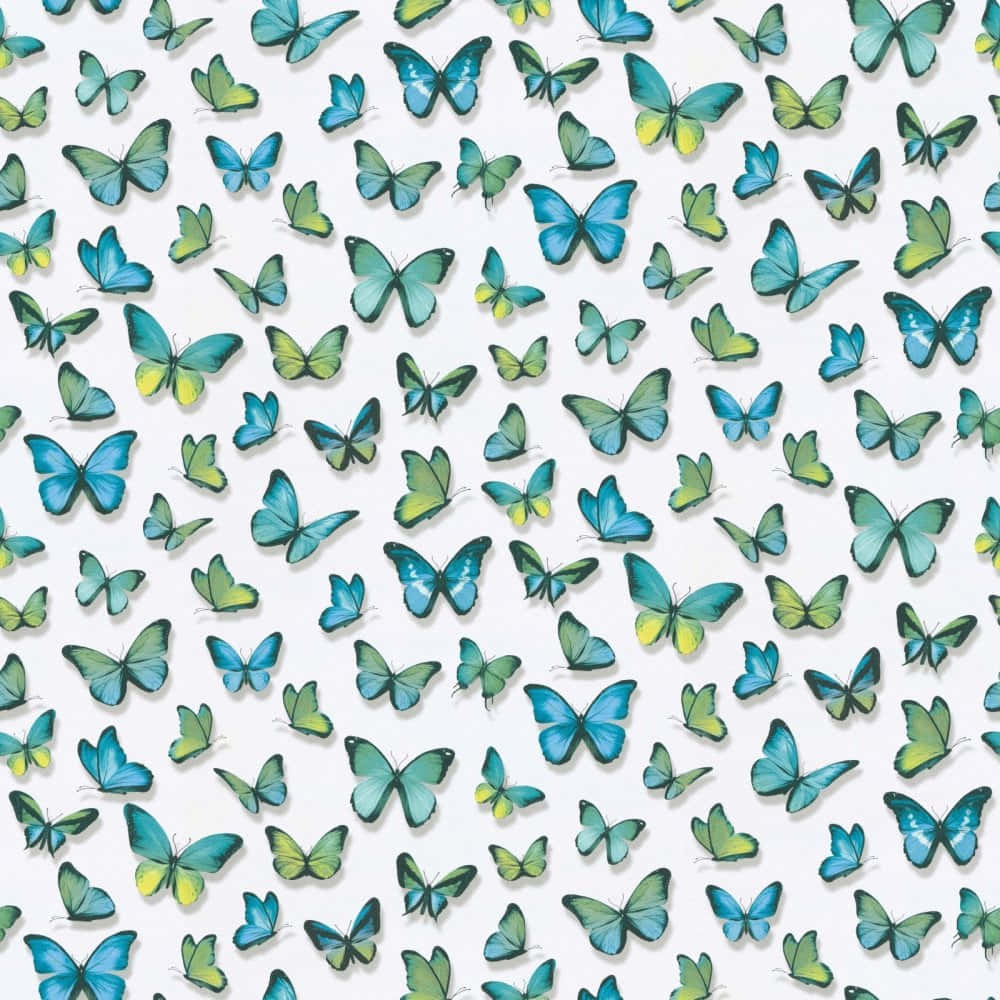 Etclose-up Af En Grøn Sommerfugl Wallpaper