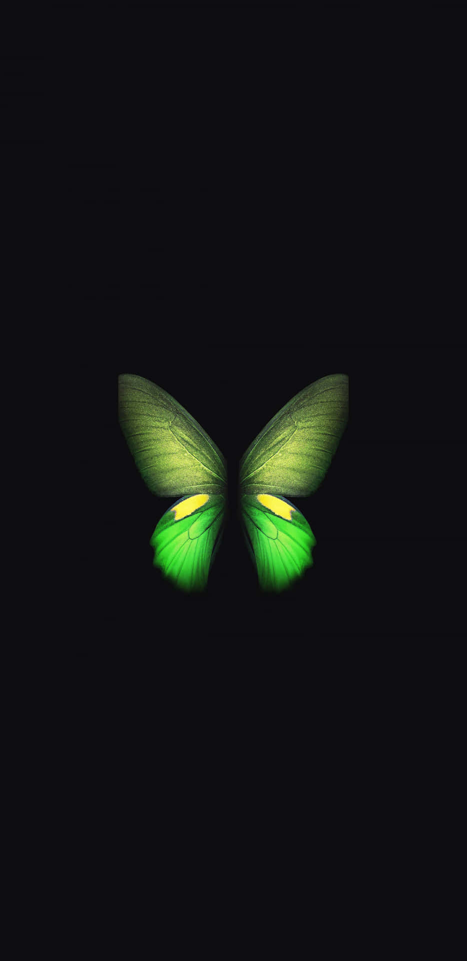 Envacker Grön Fjäril På En Blomma Wallpaper