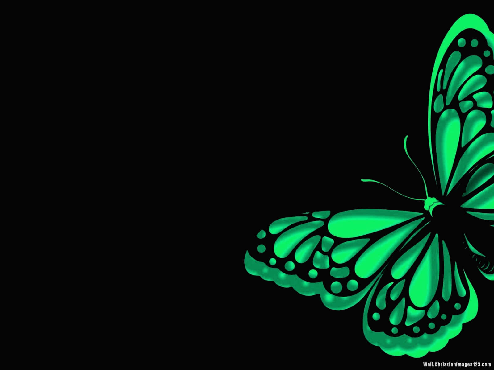 Green Butterfly Fluttering Through the Airing Wallpaper