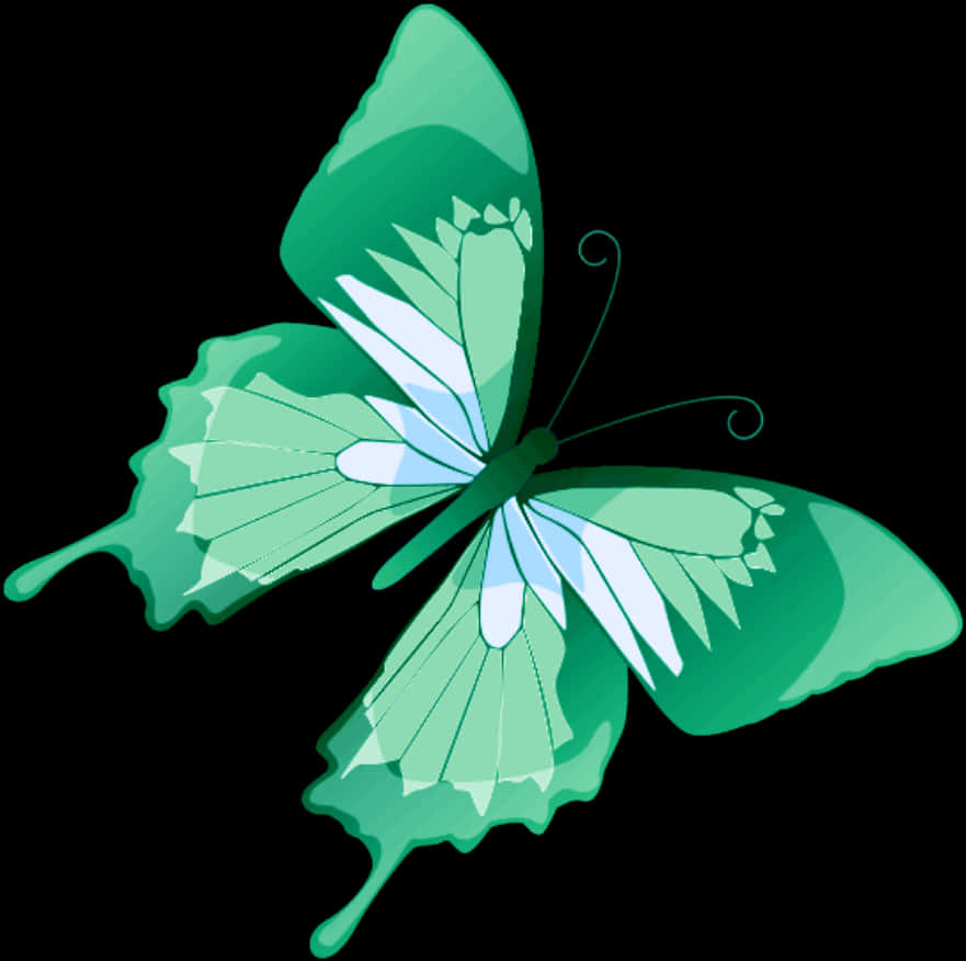Green Butterfly Illustration PNG