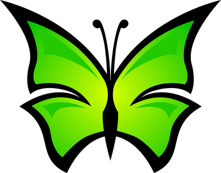 Green Butterfly Logo Design PNG