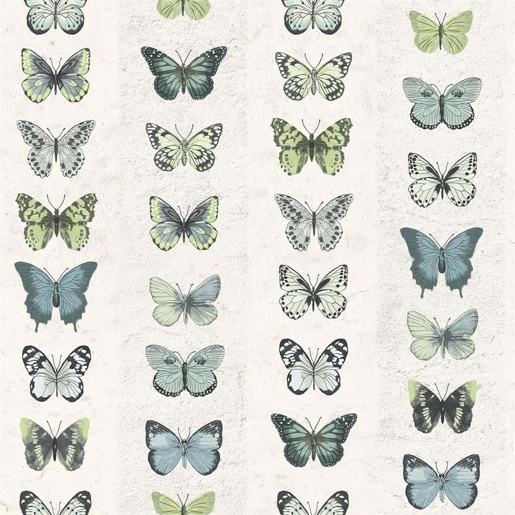 Green Butterfly Wallpaper