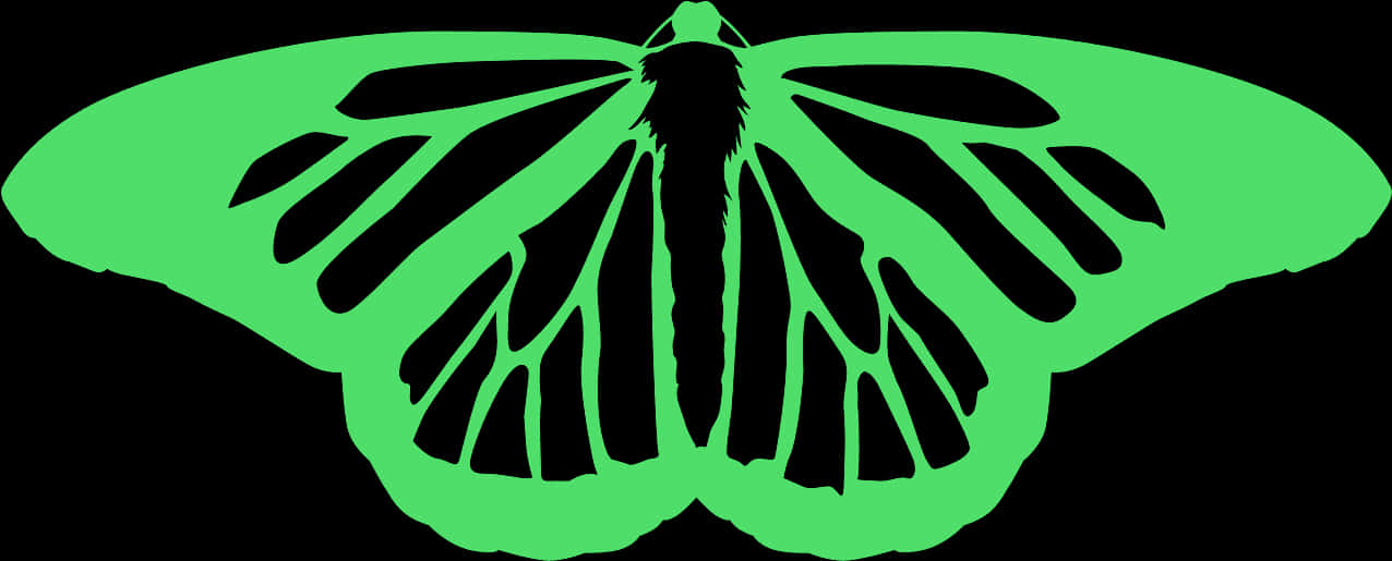 Green Butterfly Silhouette PNG