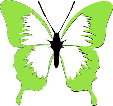 Green Butterfly Silhouette Faces PNG