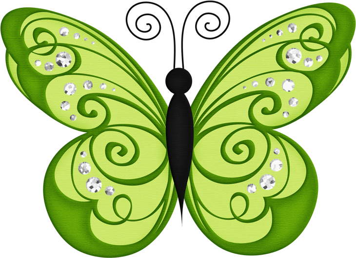 Green Butterfly Transparent Background PNG