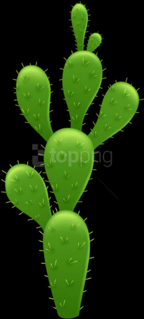 Green Cactus Black Background PNG