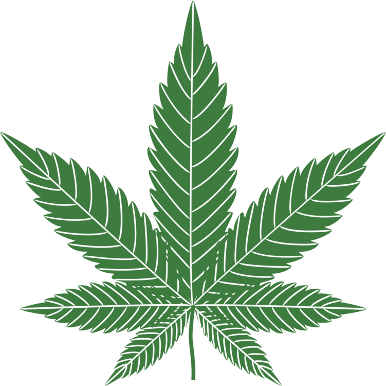 Green Cannabis Leaf Graphic PNG