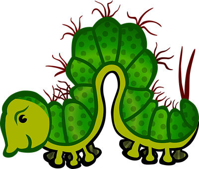 Green Cartoon Caterpillar PNG