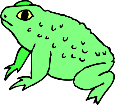 Green Cartoon Frog Illustration PNG