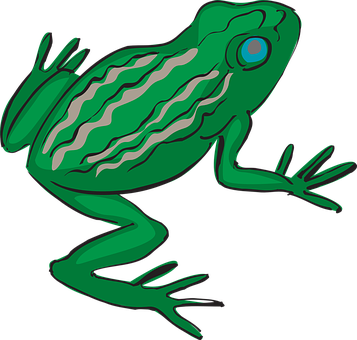 Green Cartoon Frog Illustration PNG