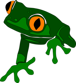 Green Cartoon Frog Illustration PNG