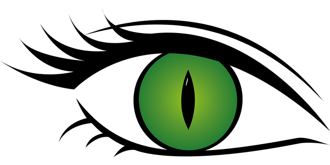 Green Cat Eye Illustration PNG