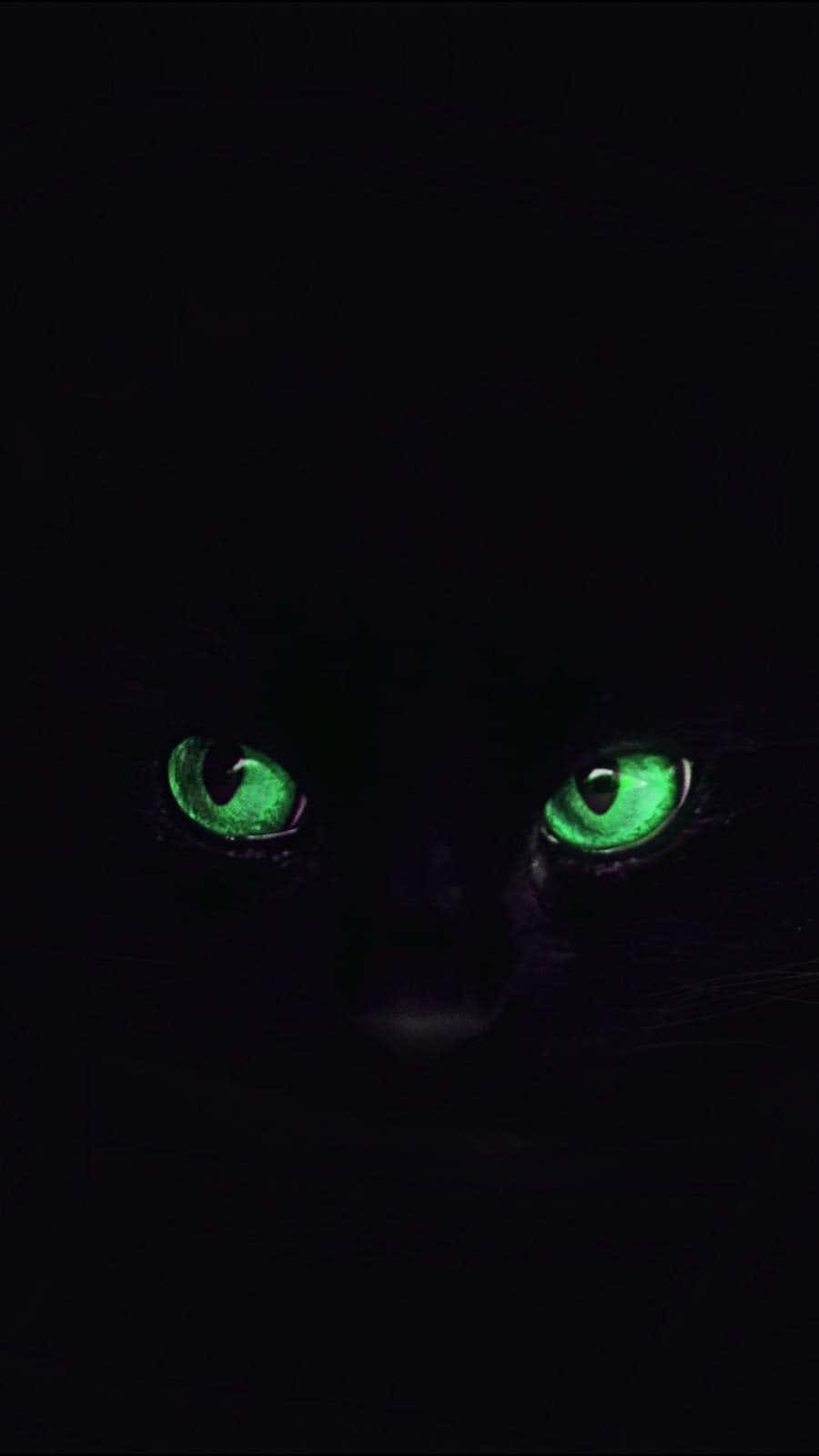 Green Cat Eyes Black Cat Background