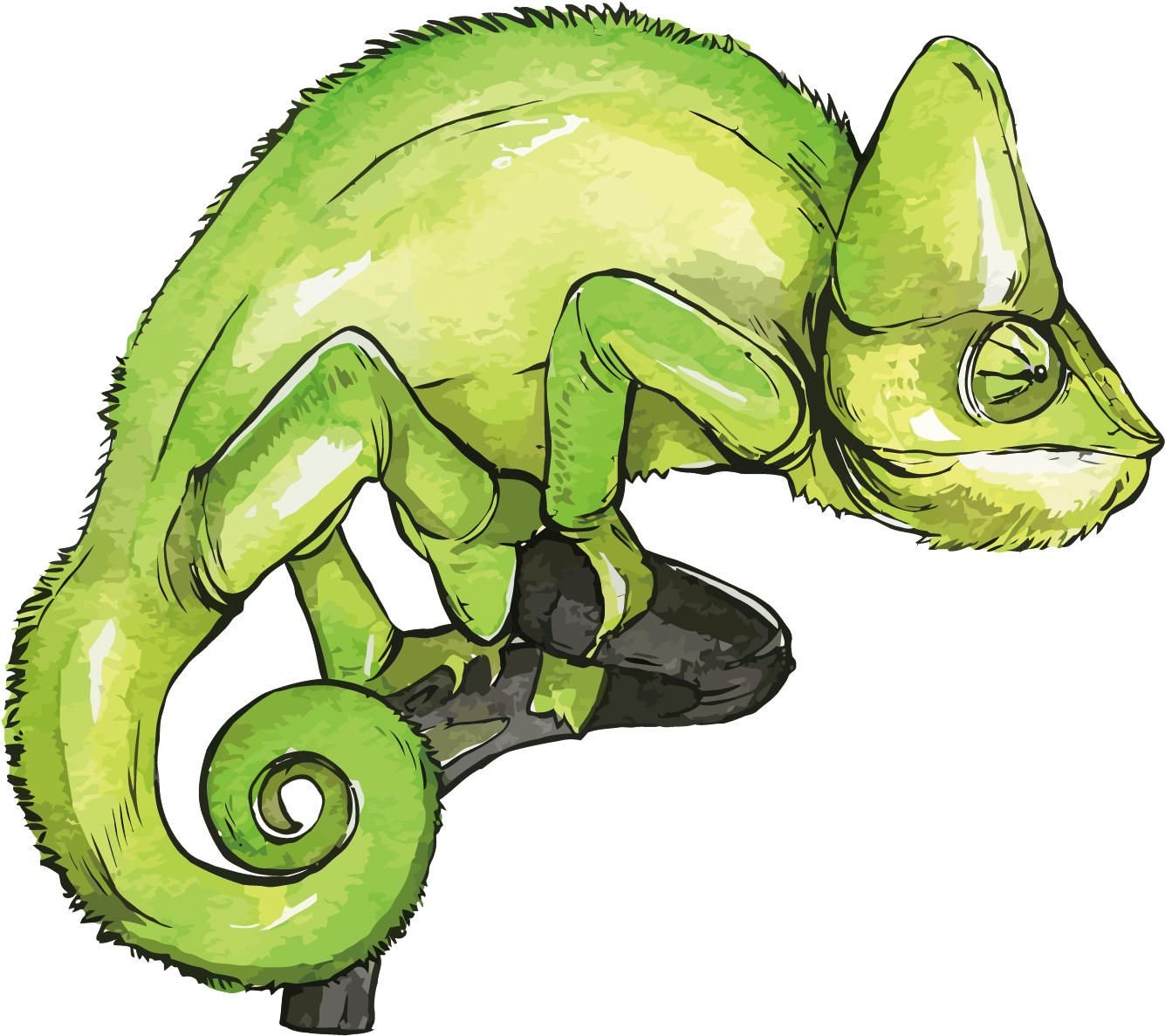 Green Chameleon Illustration PNG