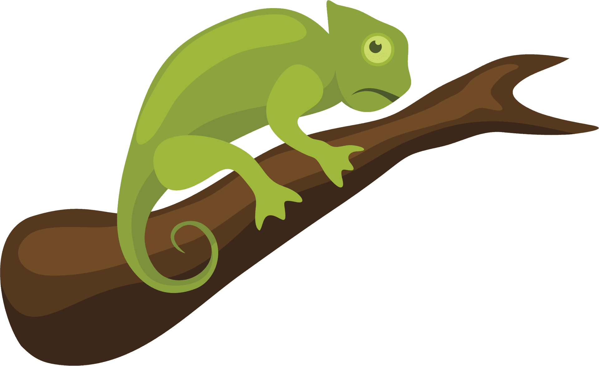 Green Chameleonon Branch PNG