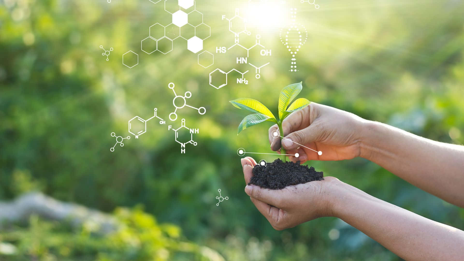 Green Chemistry: A Sustainable Science Wallpaper