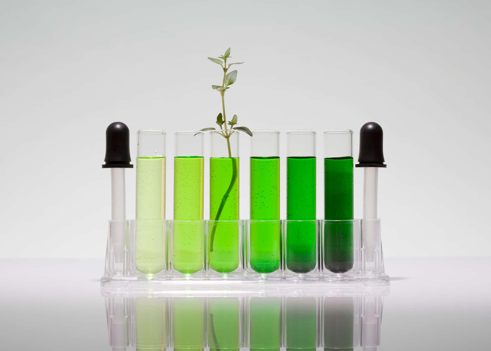 A scientist working on green chemistry experiments in the laboratory Wallpaper