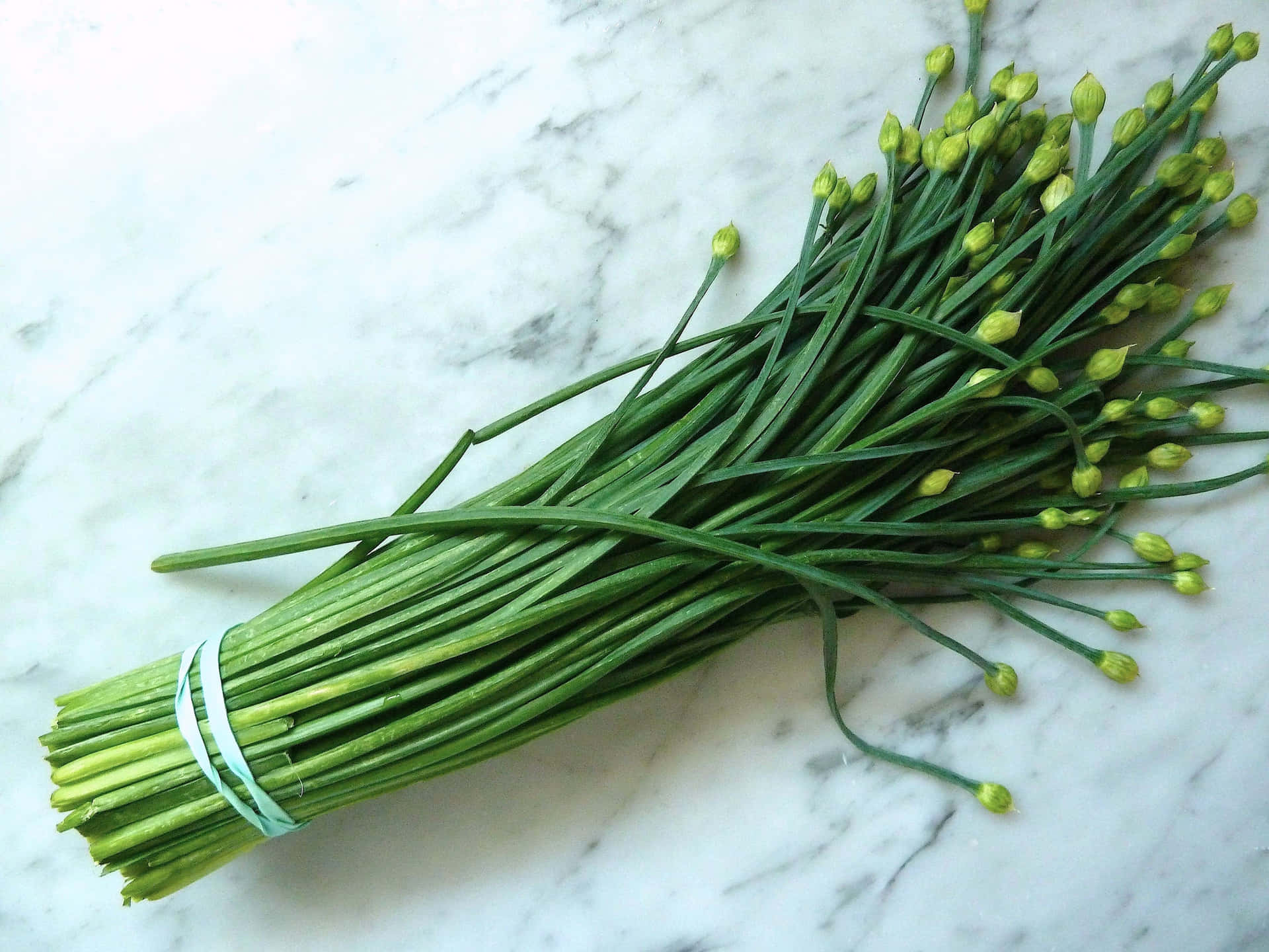 Green Chives With Yellow Green Blossoms Wallpaper