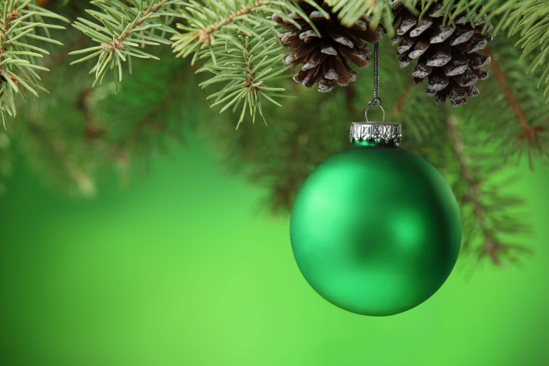 Celebrate another Green Christmas with family and friends