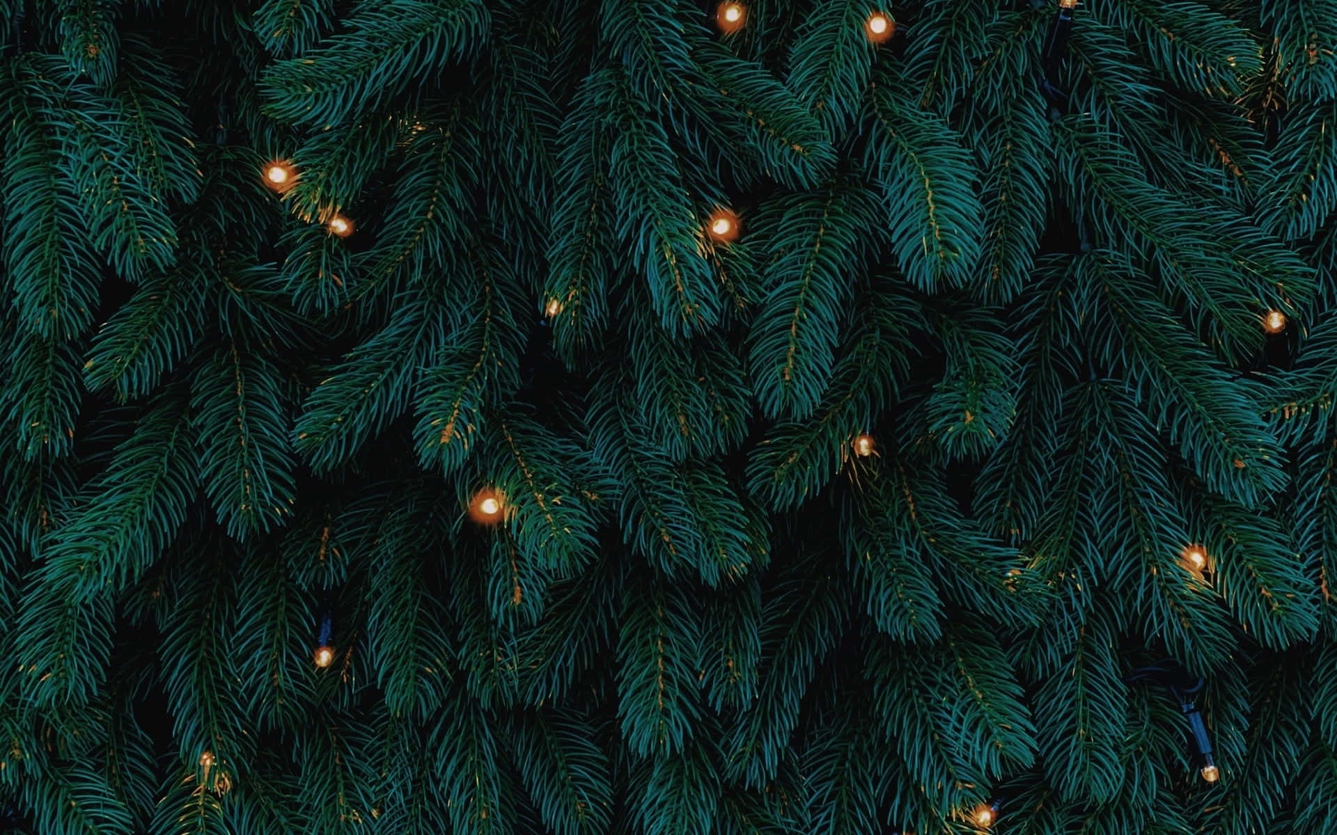 Christmas Tree Background With Lights