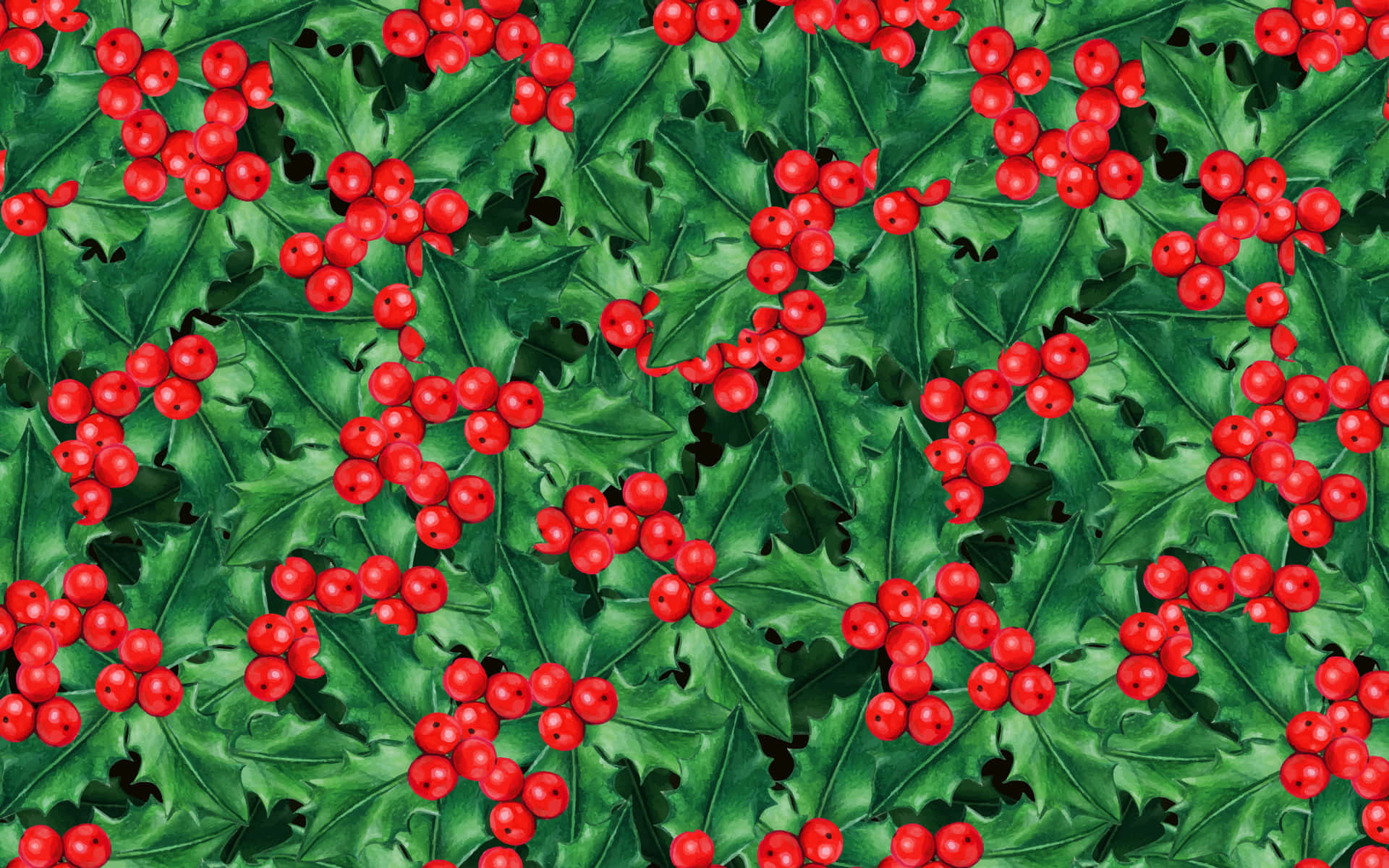 Holly Leaves And Berries On A Black Background