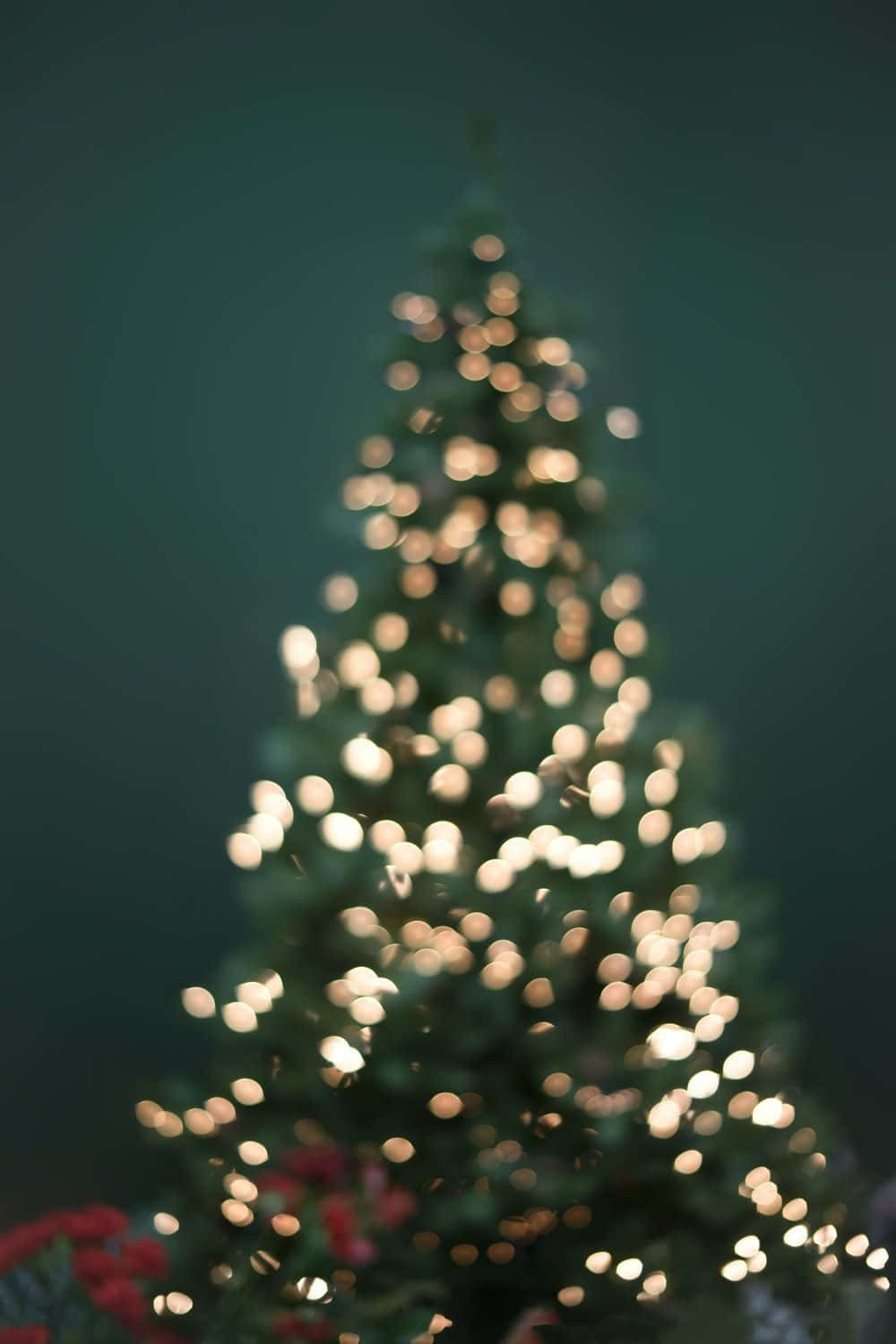 En juletræ med lys på det. Wallpaper