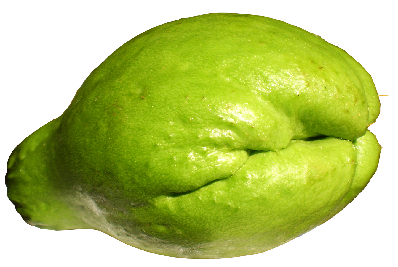 Green Citrus Fruit Texture PNG