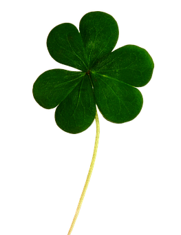 Green Clover Black Background PNG