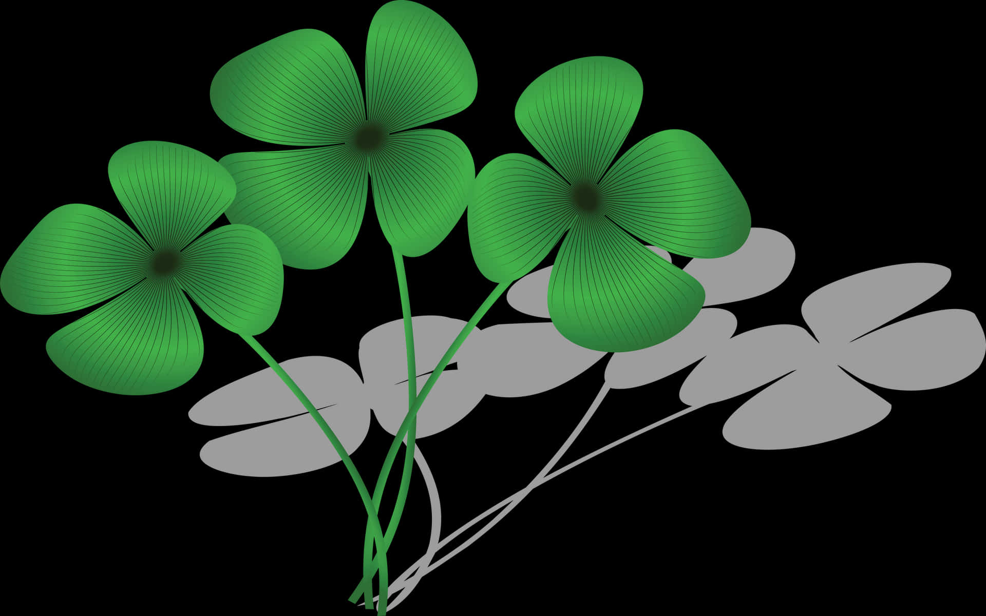 Green Clover Illustration PNG