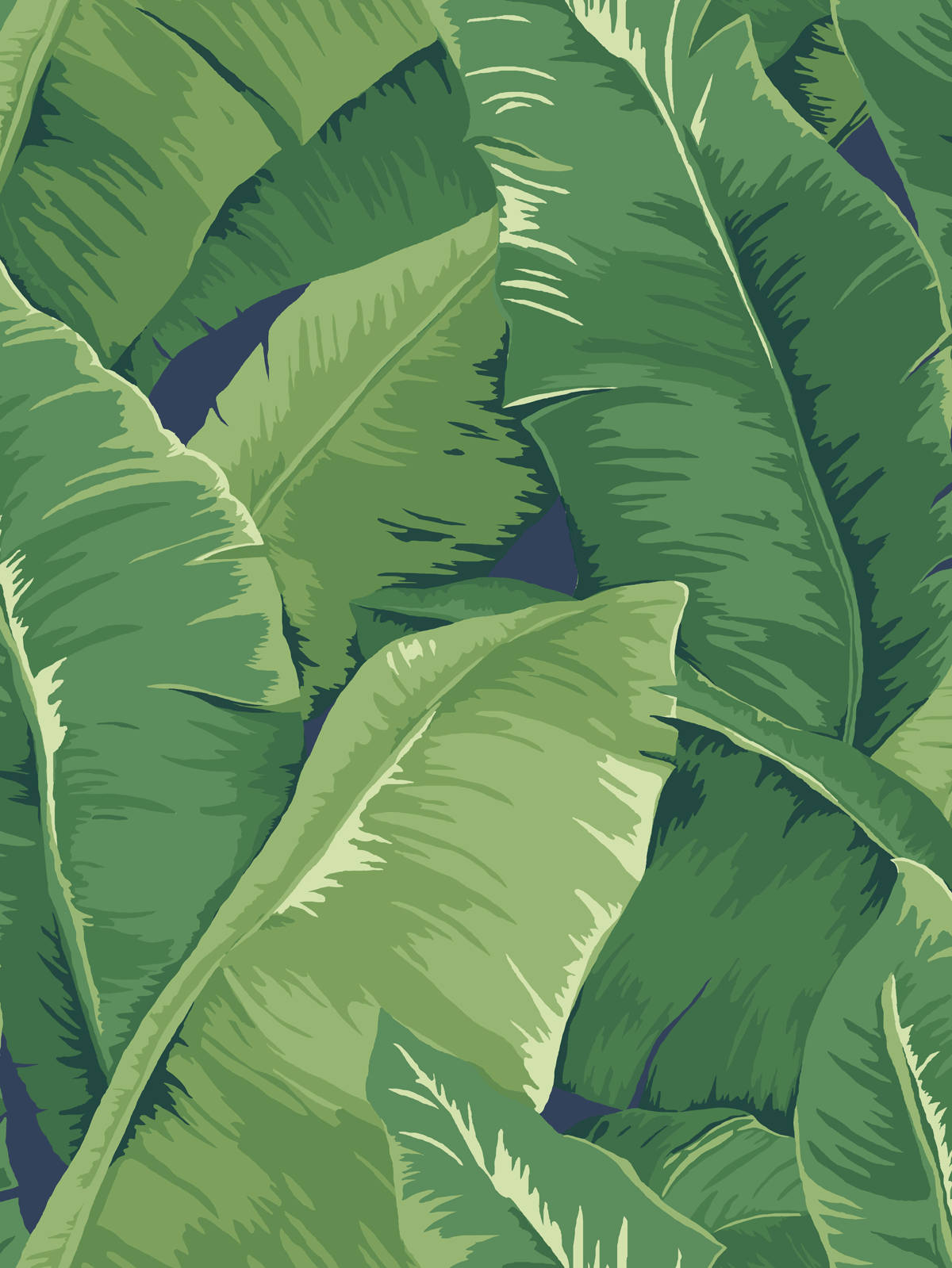 Green Clustered Banana Leaf Hd