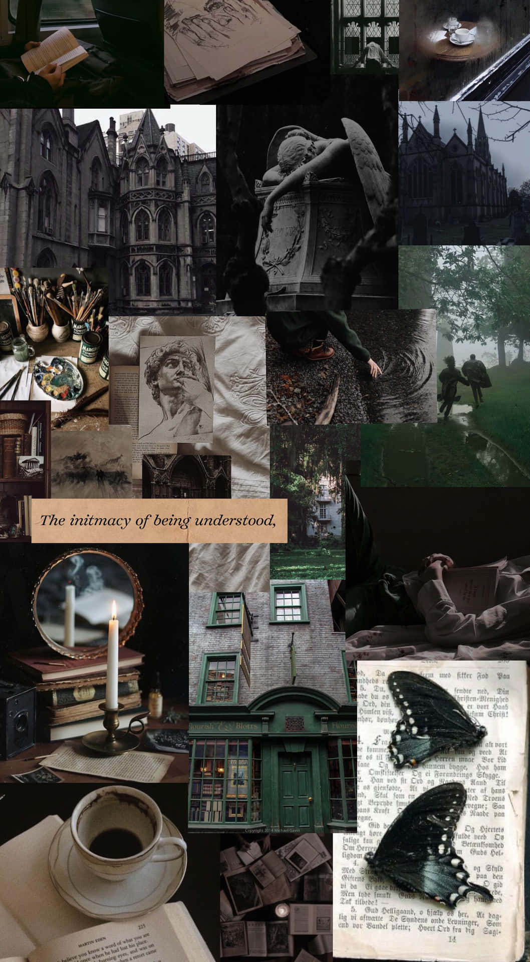 En samling af billeder af bøger, sommerfugle og sommerfugle Wallpaper