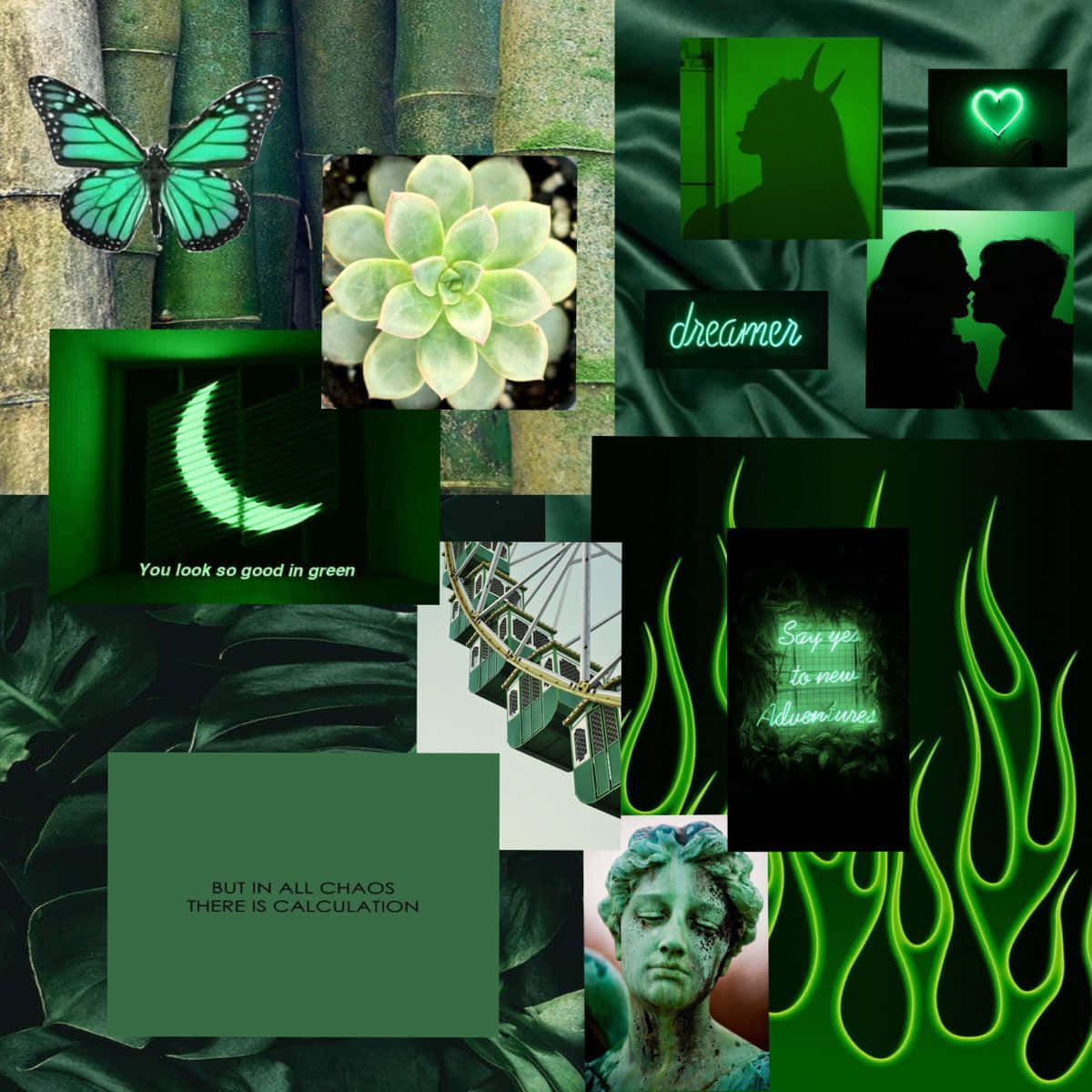 Einewunderschöne Grüne Collage Mit Natürlichen Elementen. Wallpaper