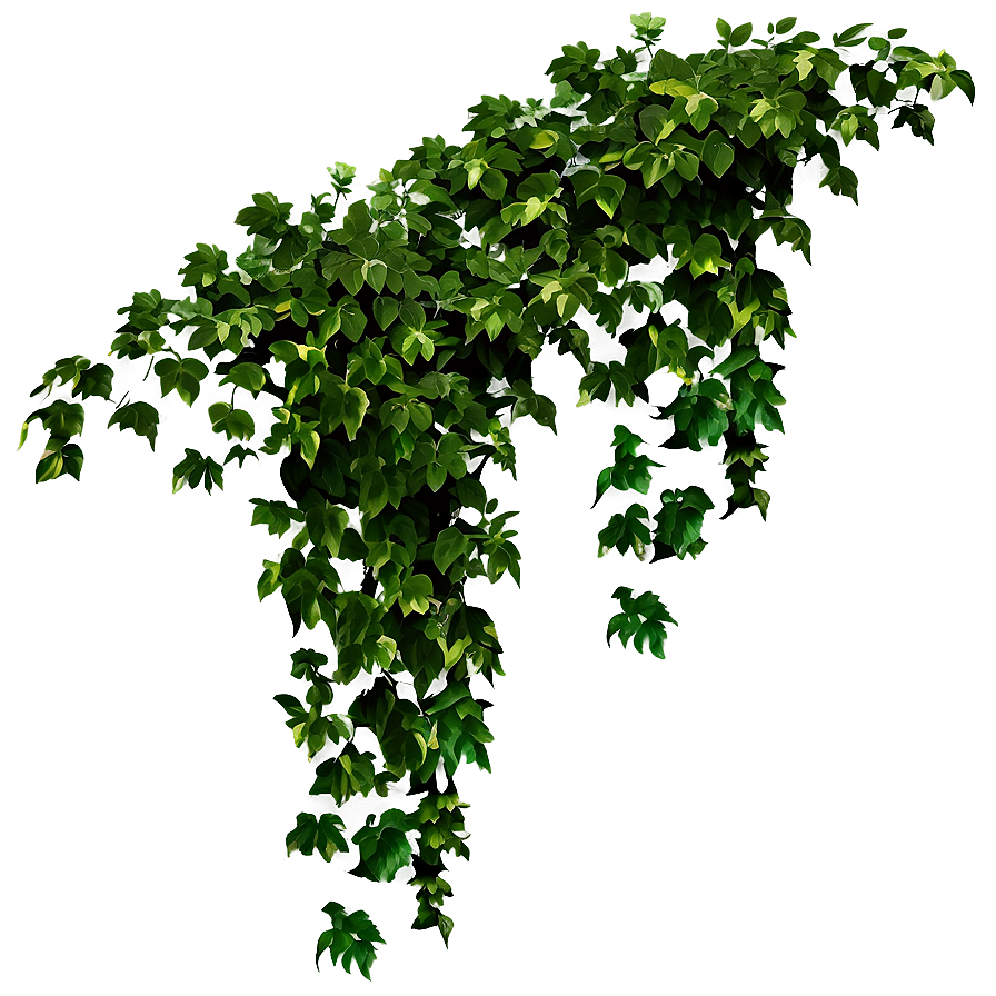 Green Creeper Texture Png 05232024 PNG