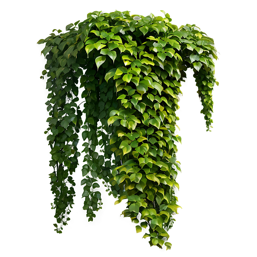 Green Creeper Texture Png Nrv68 PNG