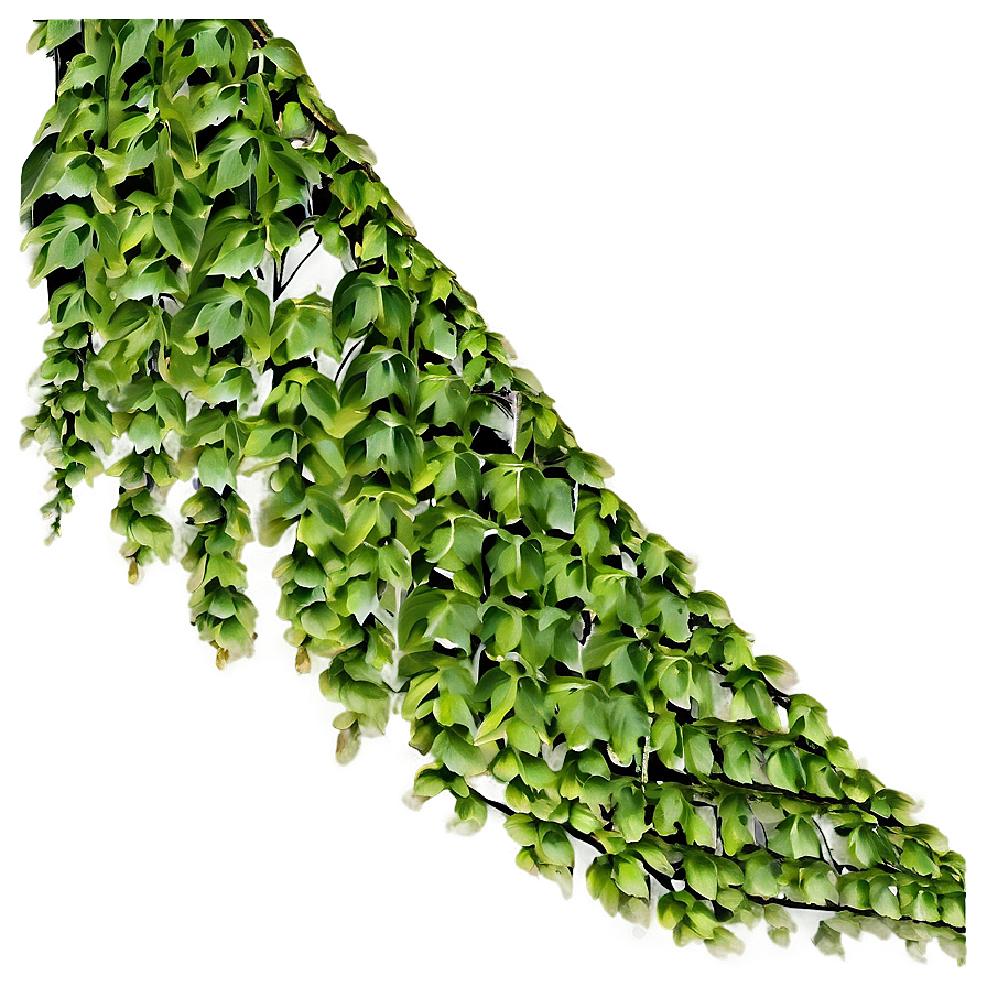 Green Creeper Texture Png Piy PNG