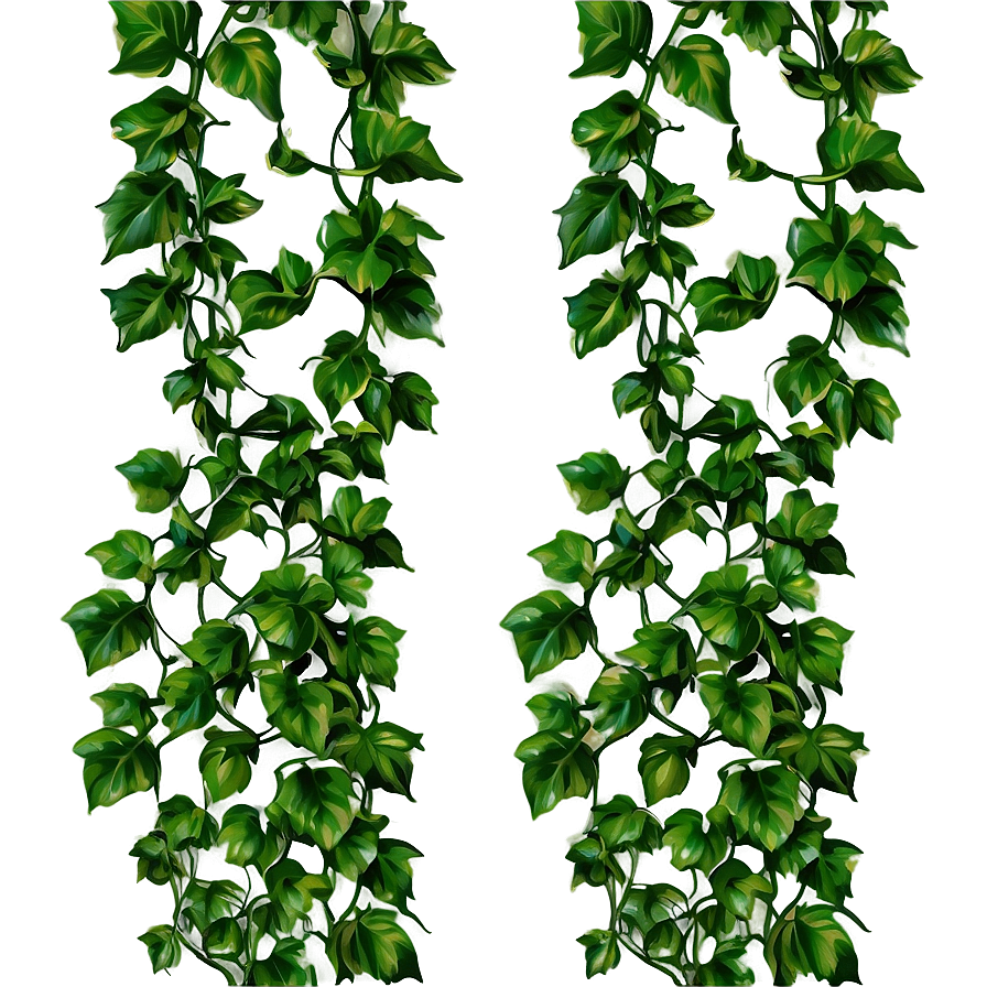 Green Creeper Texture Png Pjm37 PNG