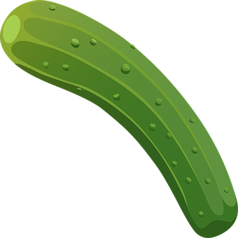 Green Cucumber Illustration PNG