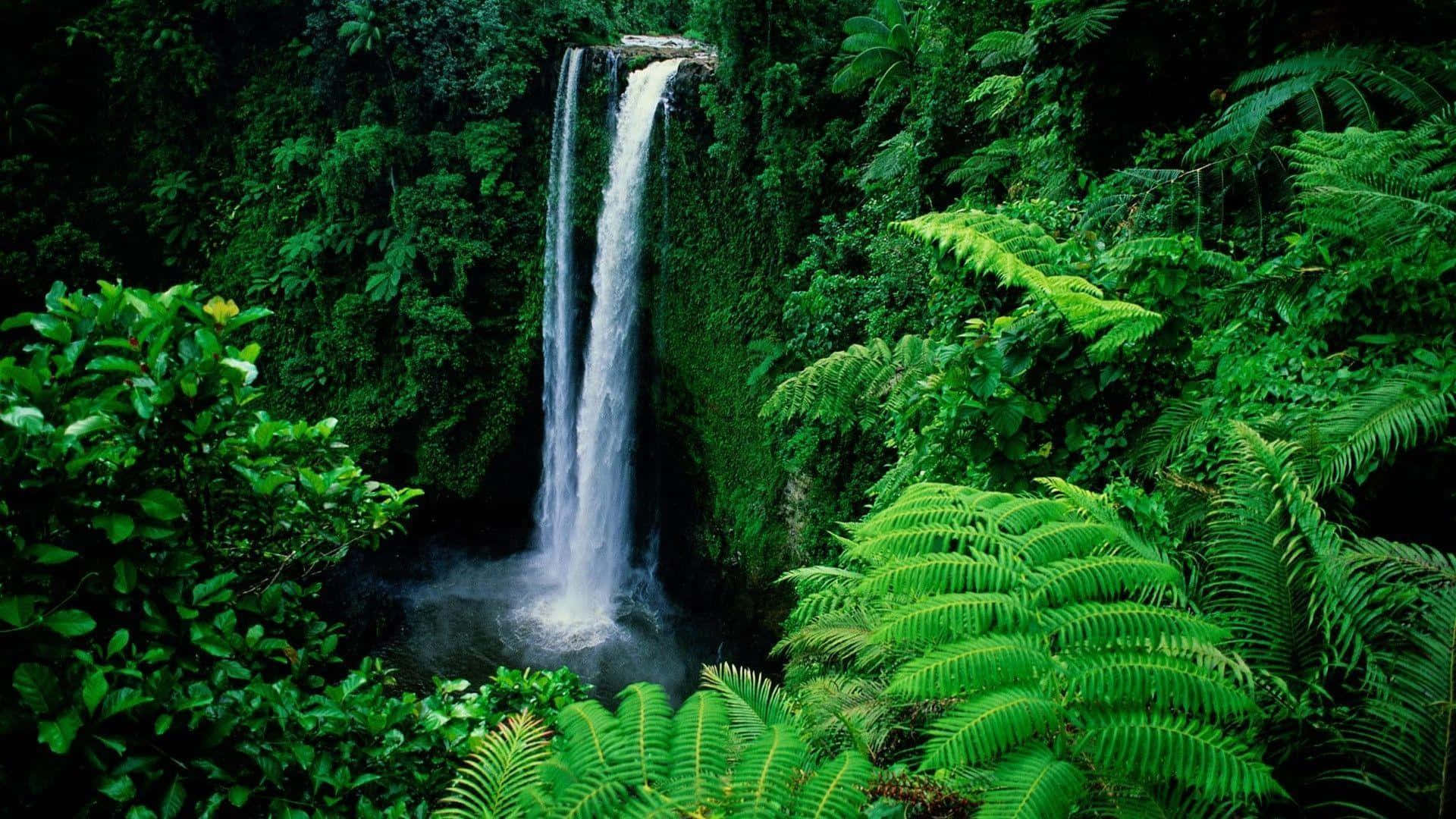 Sopoaga Waterfall Green Desktop Wallpaper