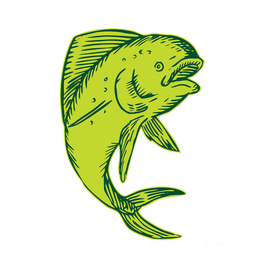 Green Dolphinfish Illustration Wallpaper