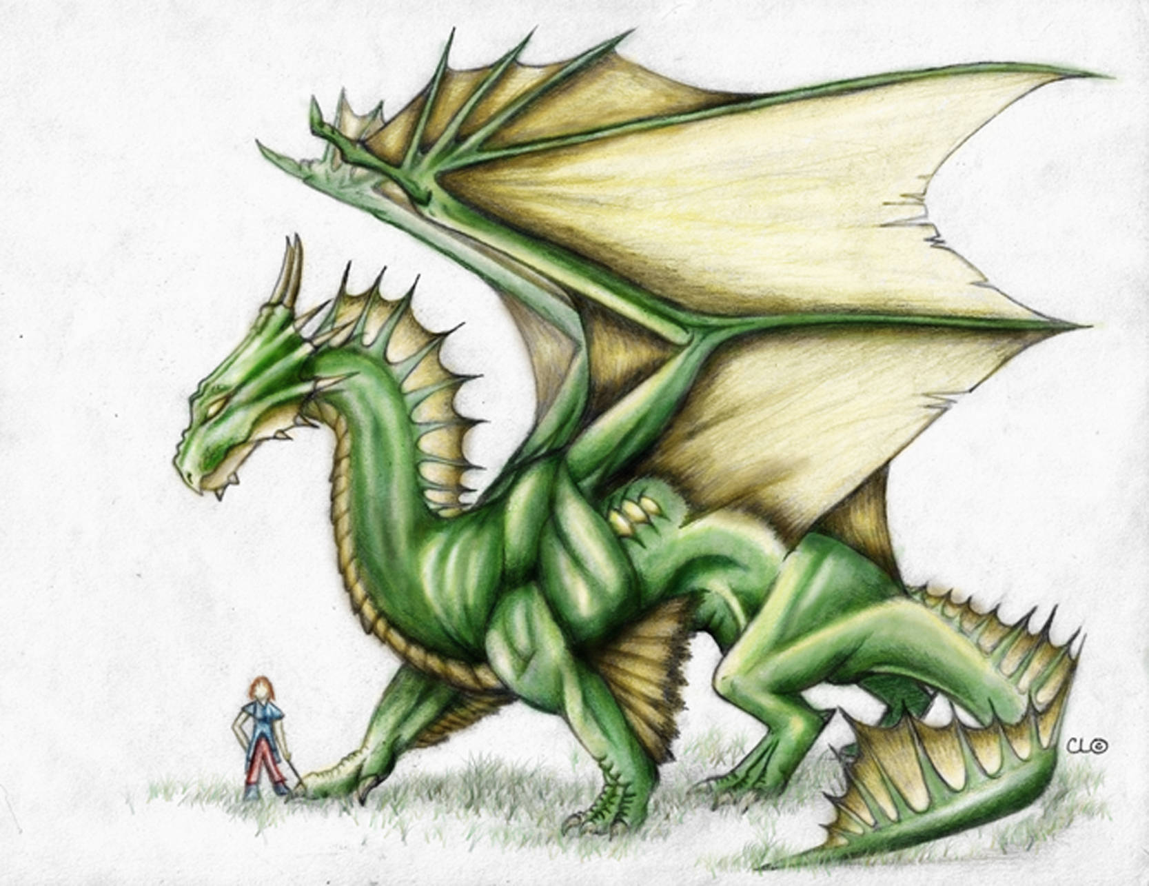 Green Earth Dragon Drawing