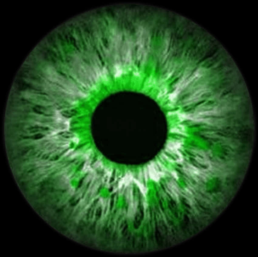 Green Eye Closeup Detail PNG