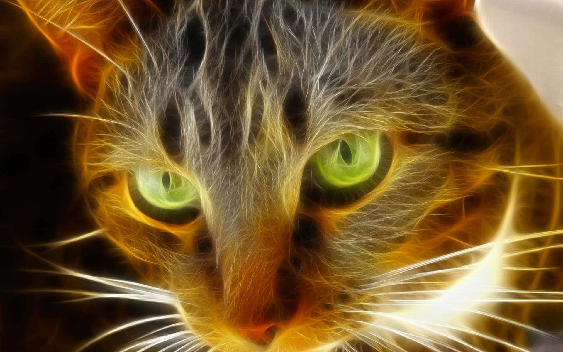 Green Eyes On Glowing Tabby Cat Background