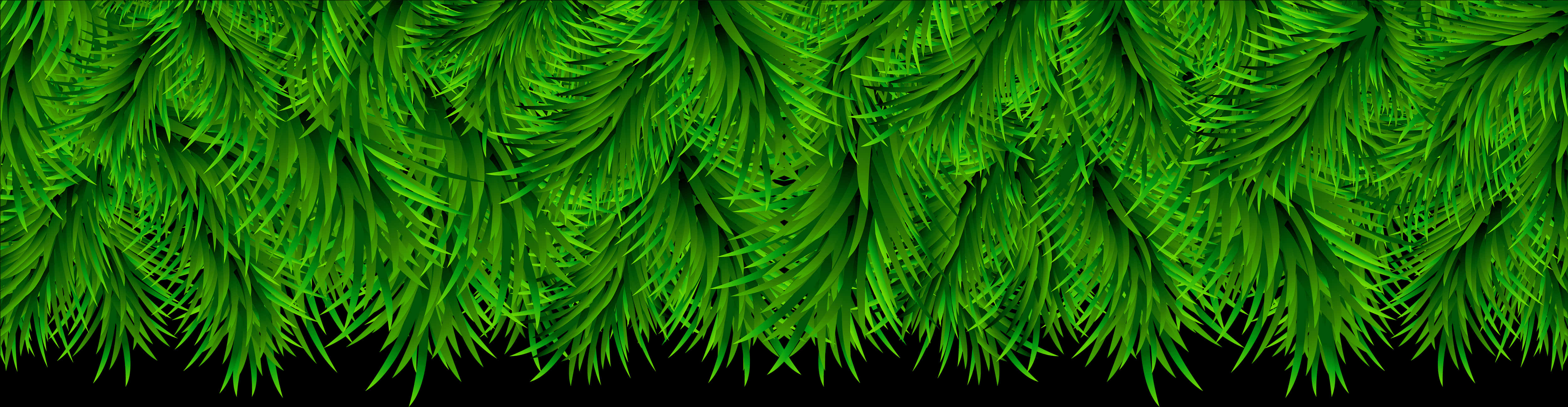 Green Fern Border Design PNG