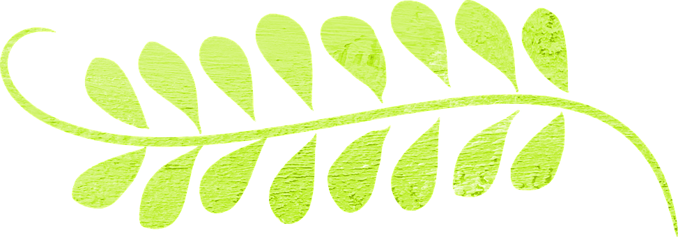 Green Fern Leaf Graphic PNG