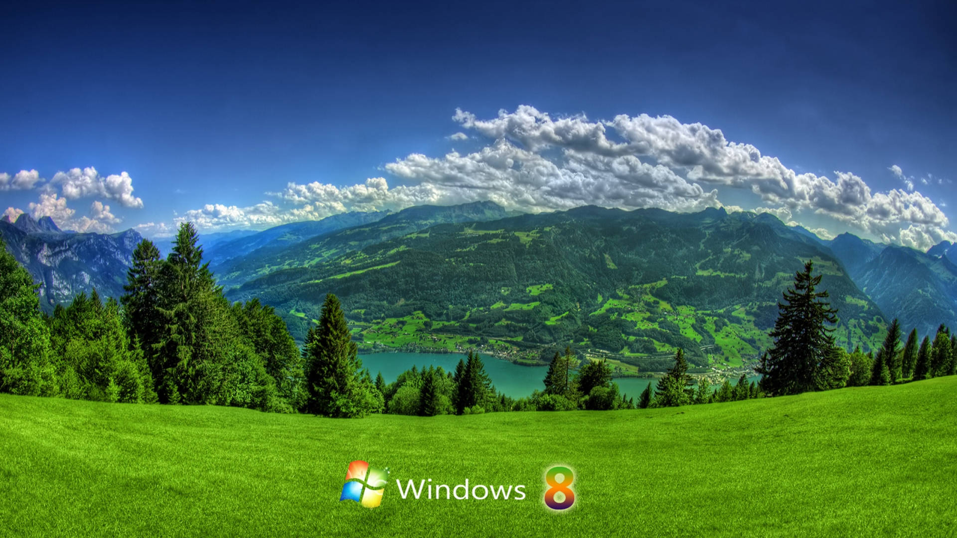 Grøn Felt Windows 8 Nature Baggrund Wallpaper