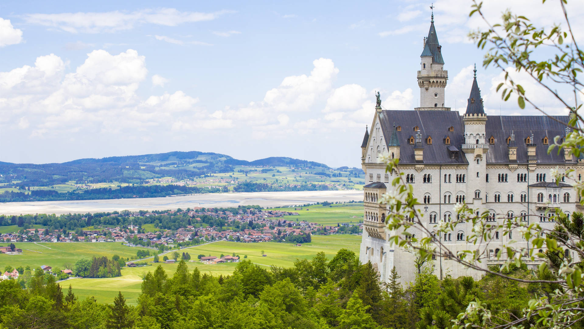 Grünefelder In Der Nähe Des Neuschwanstein-schlosses Wallpaper