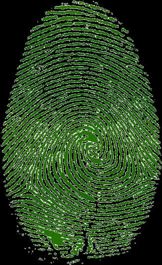 Green Fingerprint Pattern PNG