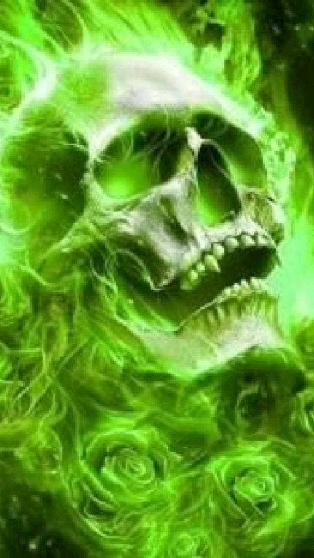 65 Green Skull Wallpapers  Download at WallpaperBro  Skull wallpaper  Black skulls wallpaper Green and black background