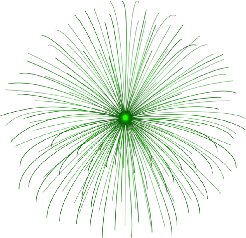 Green Firework Explosion Graphic PNG